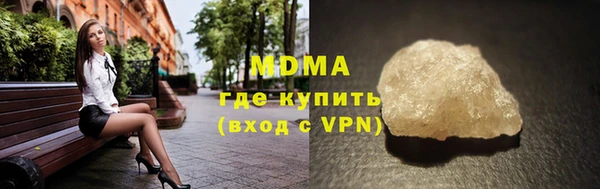прущие грибы Горняк