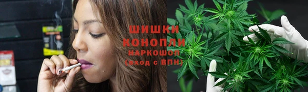прущие грибы Горняк