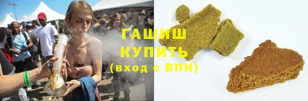 прущие грибы Горняк
