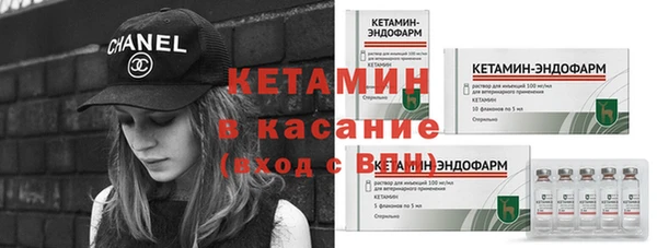 прущие грибы Горняк
