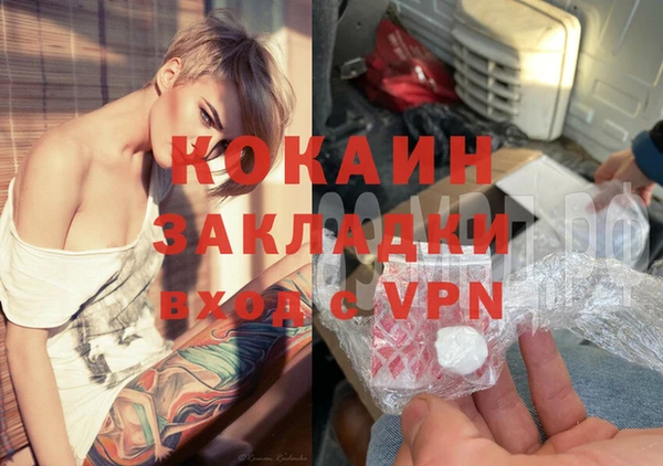 прущие грибы Горняк