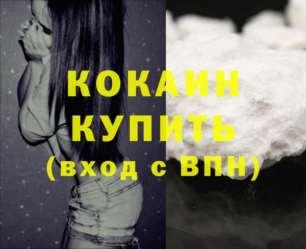 прущие грибы Горняк