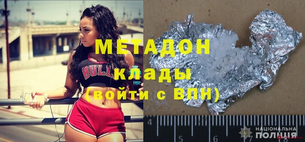 прущие грибы Горняк