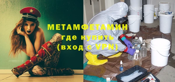 прущие грибы Горняк