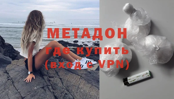 прущие грибы Горняк
