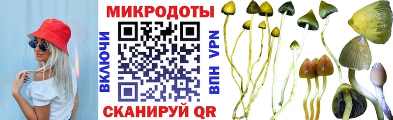Галлюциногенные грибы прущие грибы нарко площадка телеграм Мончегорск сколько стоит