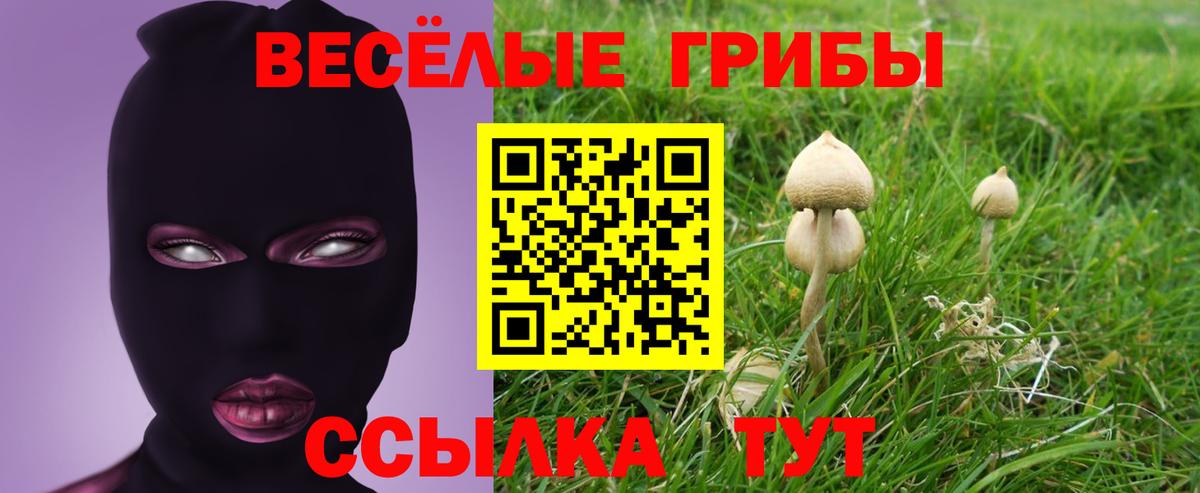 купить наркотики цена  Галлюциногенные грибы прущие грибы  Вход с VPN  Мончегорск 