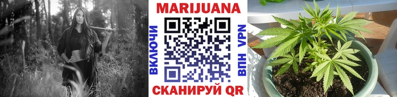 Конопля план  Мончегорск 